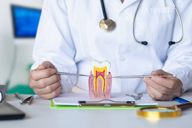 Best Emergency Dentist for Knocked-Out Tooth in Villa Rica, GA